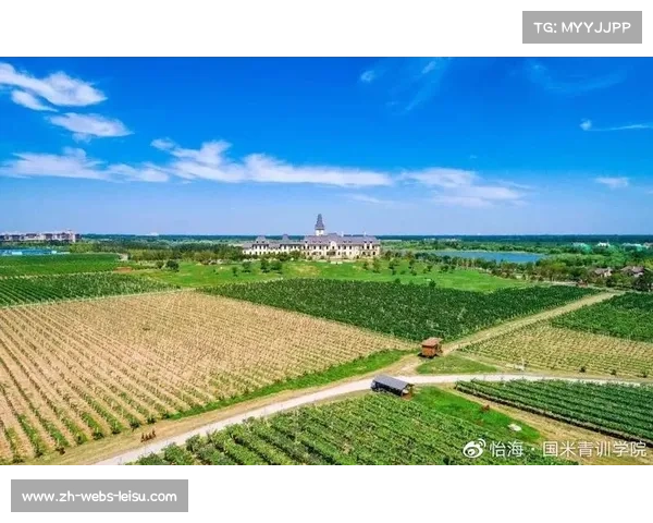 马竞新训练基地竣工，青训设施达欧洲顶级标准